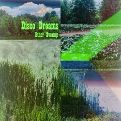 Disco Dreams – “Ether Swamp”