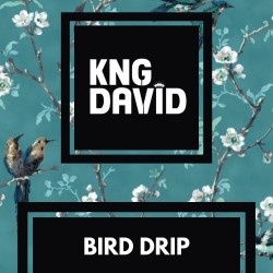 KNG DAVÎD – “Bird Drip”