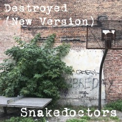 Snakedoctors – “Destroyed”