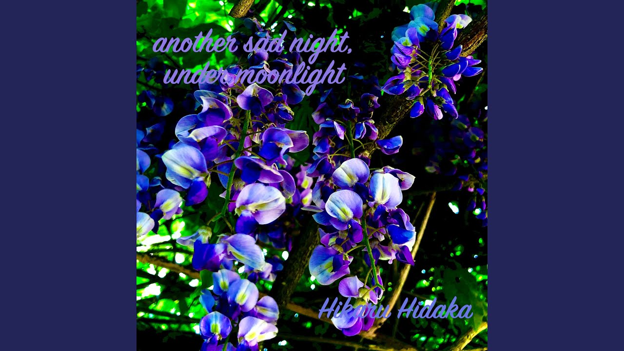 Hikaru Hidaka – “another sad night, under the moonlight”