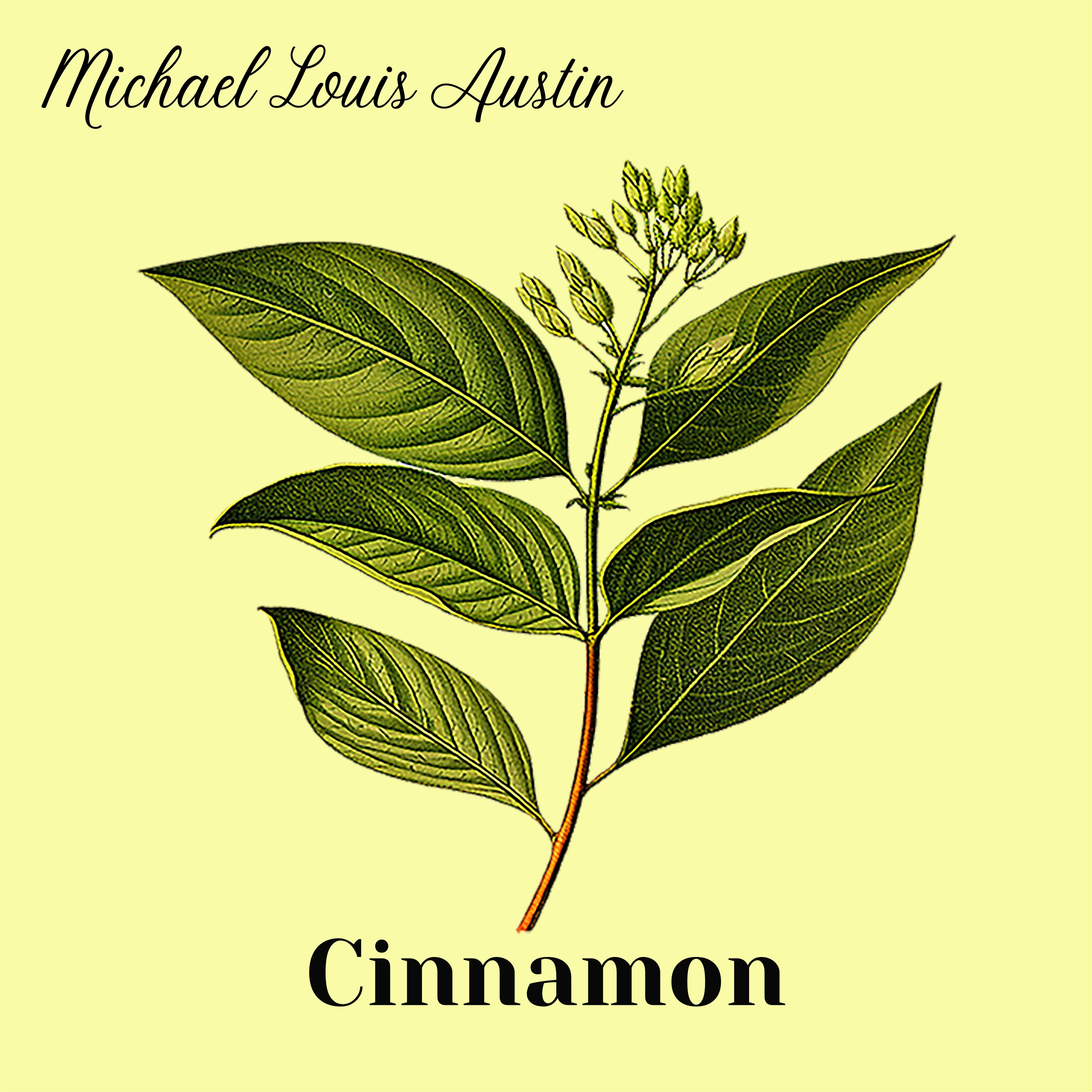 Michael Louis Austin – “Cinnamon”