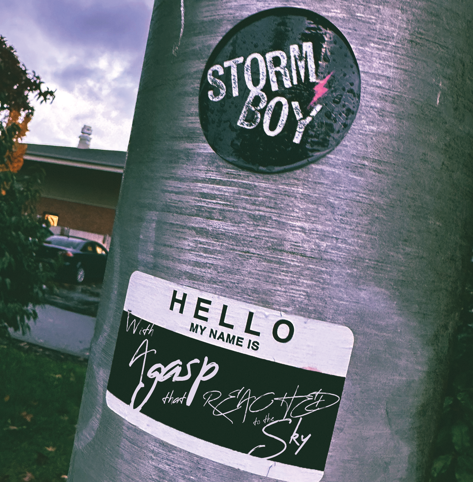 Storm Boy – With a Gasp that Reached to the Sky