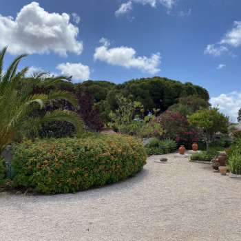 Scott’s Tees – “We Move as Fast as Storms Allow”